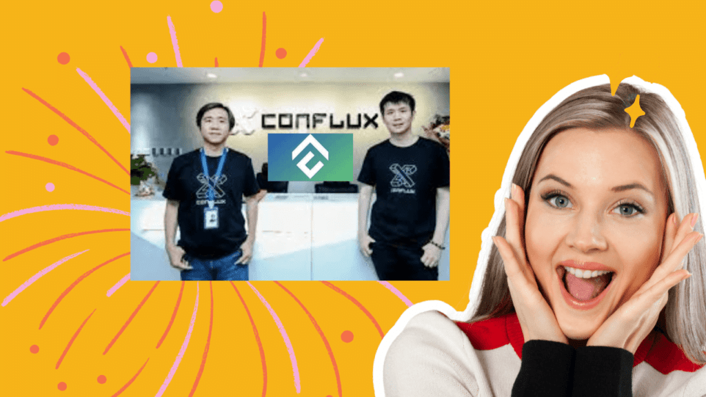 Conflux developers with the chainlink partnership will moon next bull run 