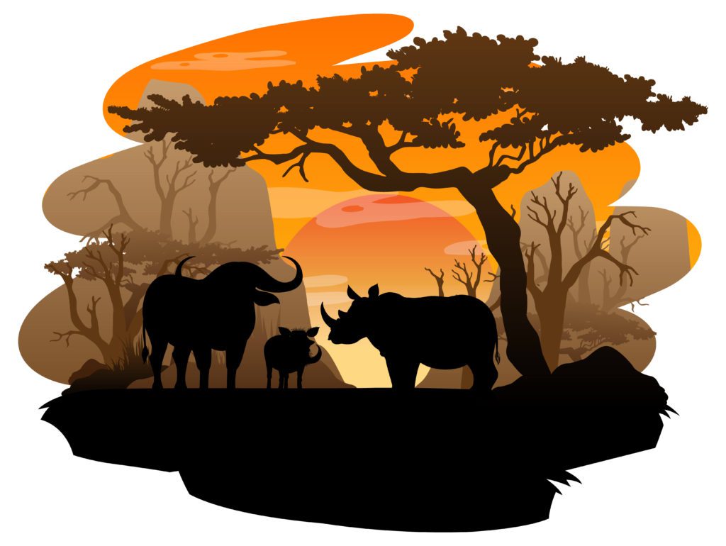 Image of animals in Africa