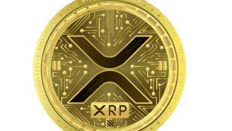 Investing in ripple shares-Gold XRP coin