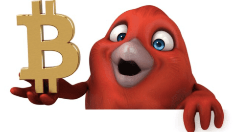 Big Red Bird with Bitcoin-Bitcoin Surge February