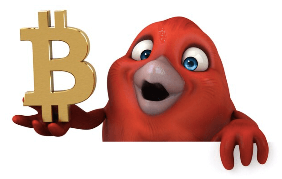 Big Red Bird with Bitcoin-Bitcoin Surge February