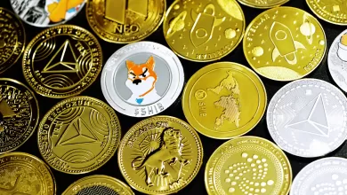 Coin crypto cins and Shiba Inu token for the Meme Coins April